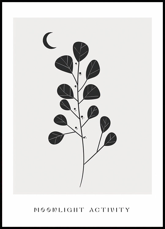 Poster „Moonlight Activity Nr. 3“ – Posterbox.dk