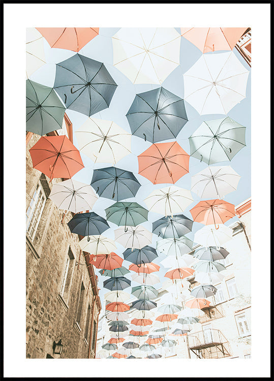 Regenschirme Poster - Posterbox.dk