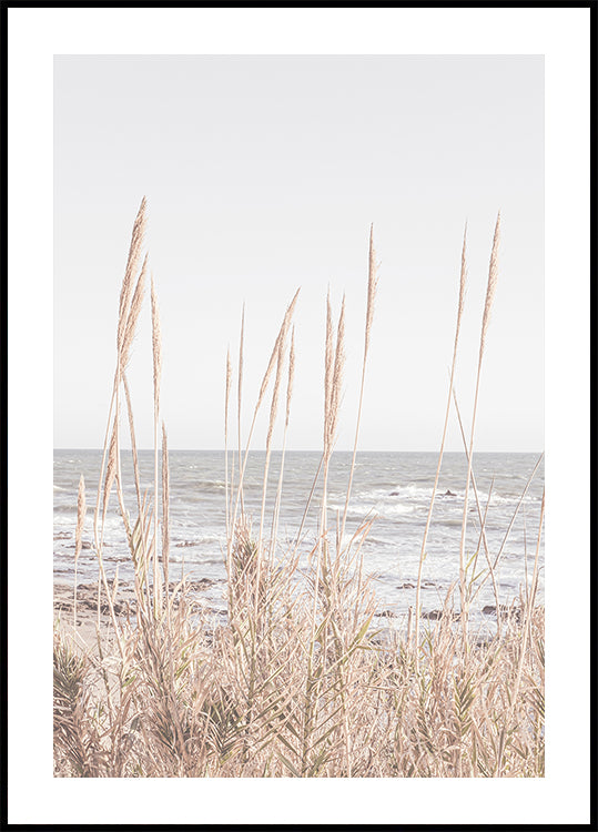 Beach_Vass_001 Poster