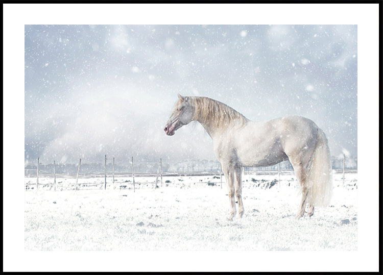 Lass es schneien... Poster