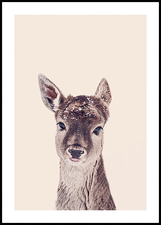 Rehkitz-Rosé-Beige-Poster