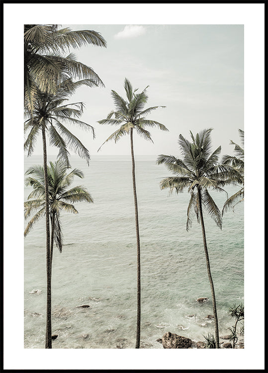 Poster mit tropischen Träumen