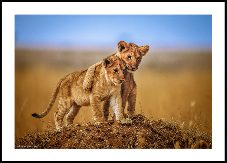 Poster „Brüder fürs Leben“.