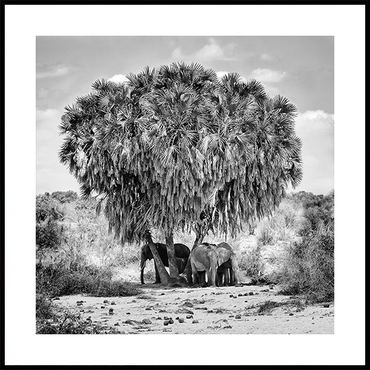 Poster zur Mittagsbesprechung
