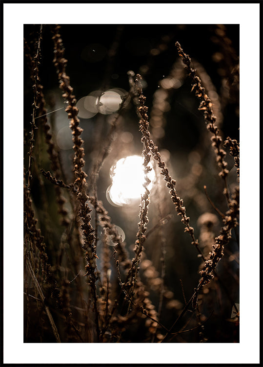 Herbstlichter 2
