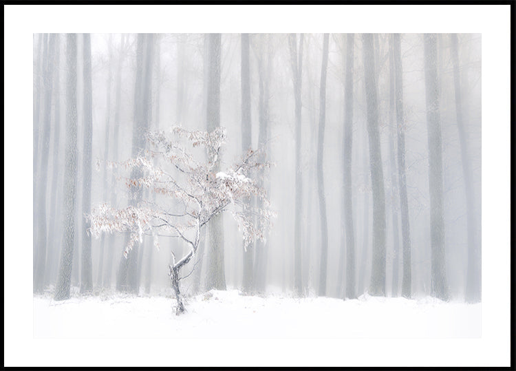 Poster „Vor dem nebligen Vorhang“.
