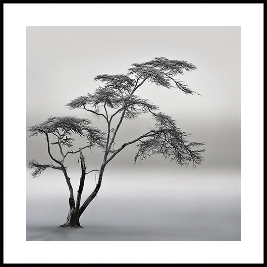 ein sehr langes Story-Poster