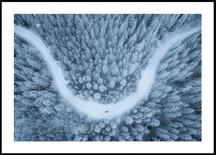 Verschneite Fahrt Poster