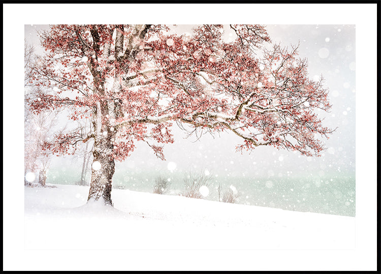 Schnee am See Poster