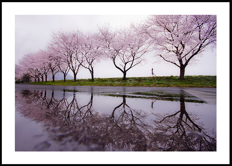Regen des Frühlings