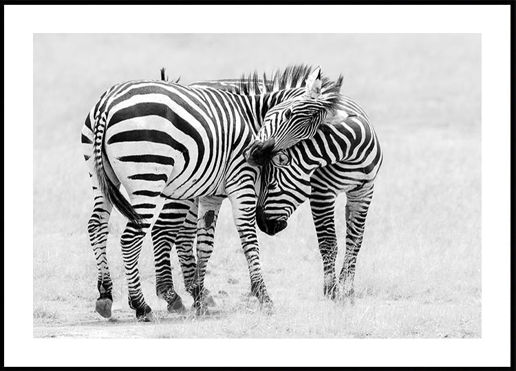 Poster „Zärtlicher Moment“.