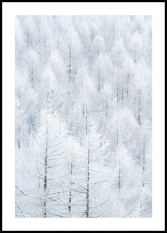 清浄 (Seijyou) Poster