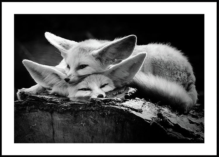 Das glückliche Paar