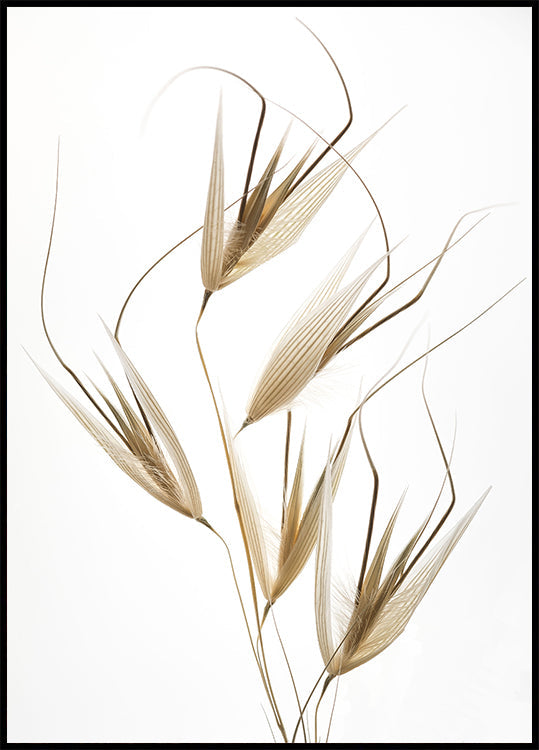 Delikatesse der Natur