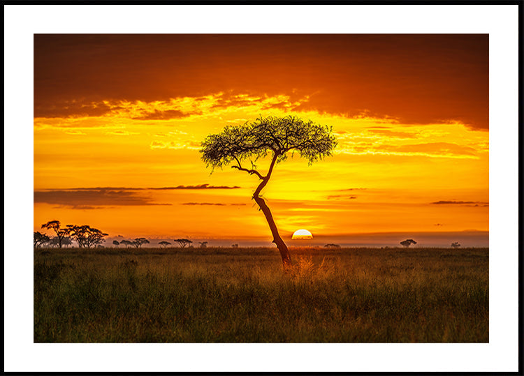 Ursprüngliches Afrika-Plakat