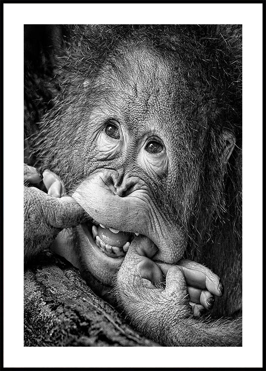 Großes Lächeln.....bitte Poster