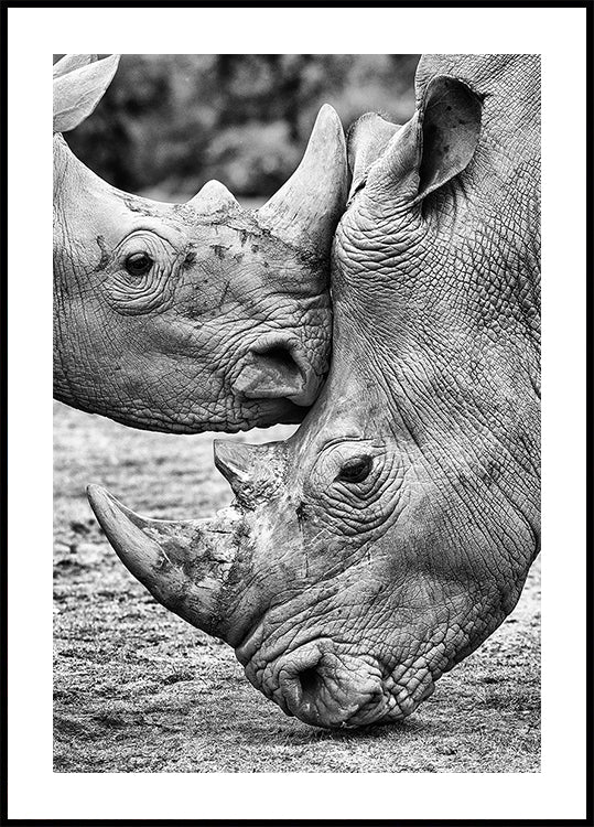 Von Angesicht zu Angesicht