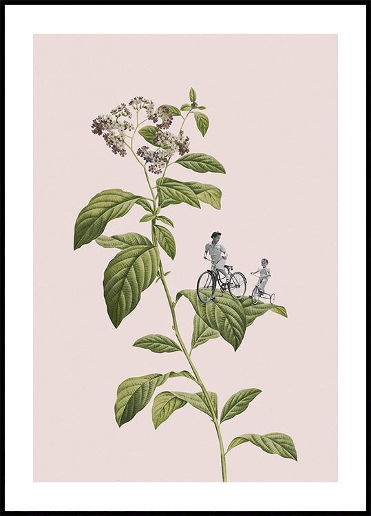 Botanisches Radfahren