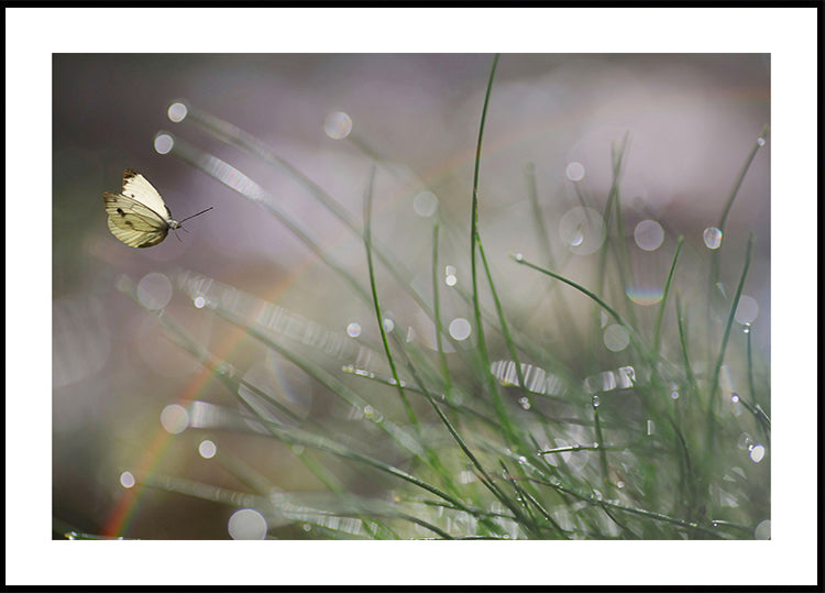 Unmittelbare Landung