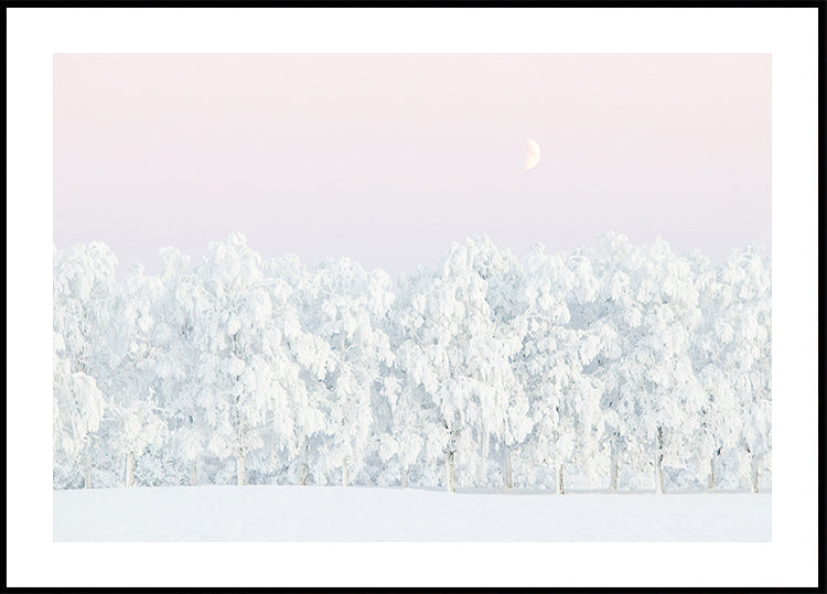 Rosa Winterzauber-Poster