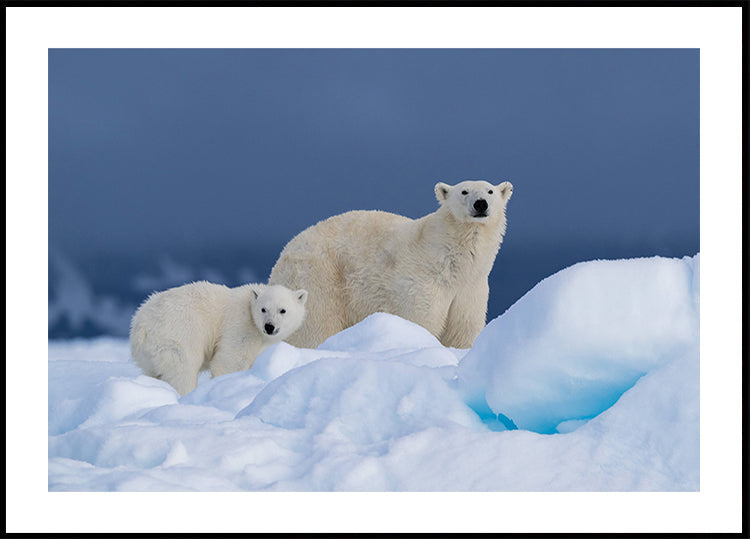 Mama und Baby Poster