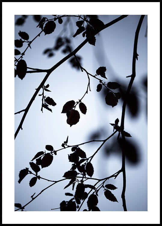 Anbruch der Morgendämmerung