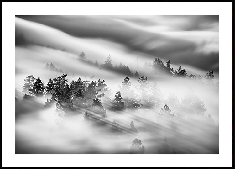 Flüstern durch den Nebel Poster