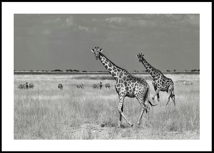 Touristen verbringen