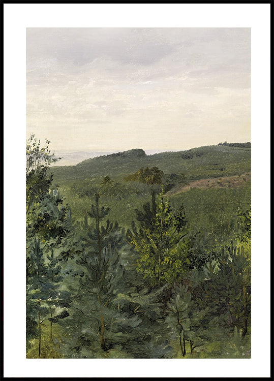 Fichtensetzlinge in sandiger Bodenstudie von Werner Holmberg Poster - Posterbox.dk