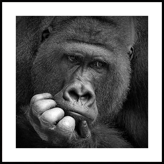 Ich hatte ein Traumplakat