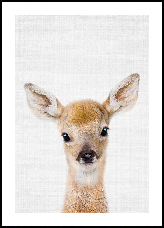 Peekaboo-Baby-Hirsch-Poster