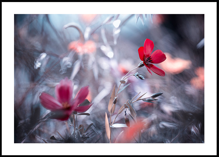 Eine Blume, eine Geschichte