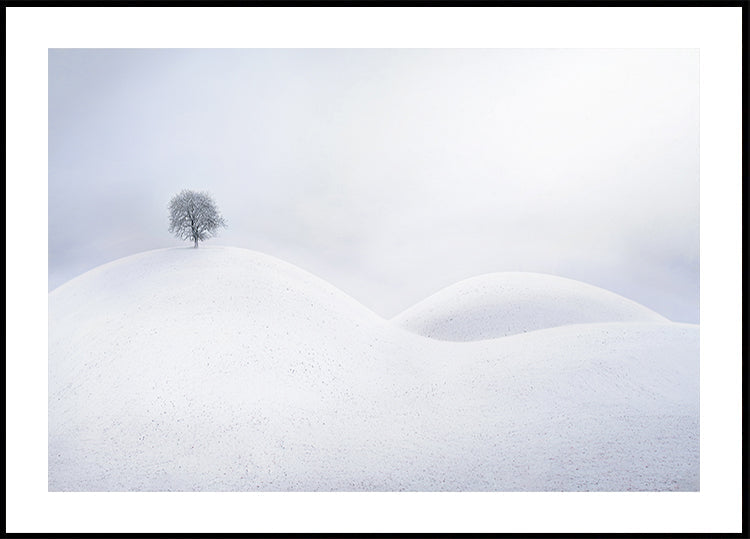 Einsamer Baum auf Winterdünen-Plakat