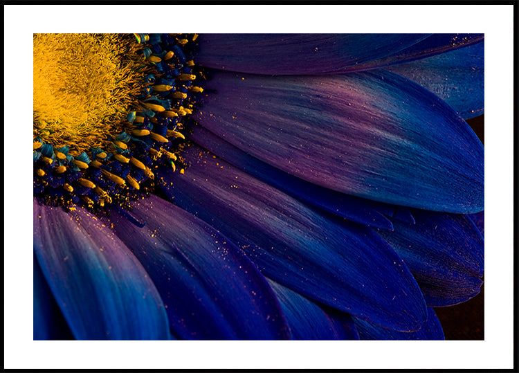 Blaue Strahlen-Poster