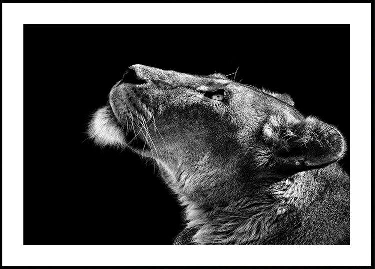 Nachschlagendes Poster