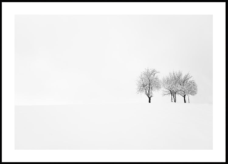 Baum und Stille Poster