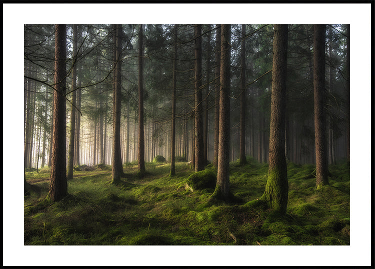 Poster mit Frühlingsgefühl