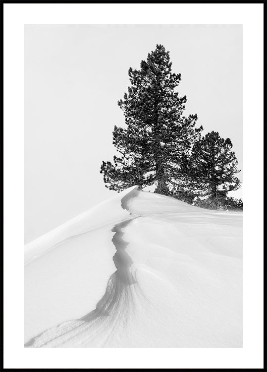 Über den Schnee und die Formen Poster