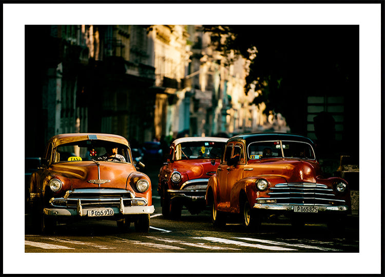 Komm mit mir ins Morgenlicht