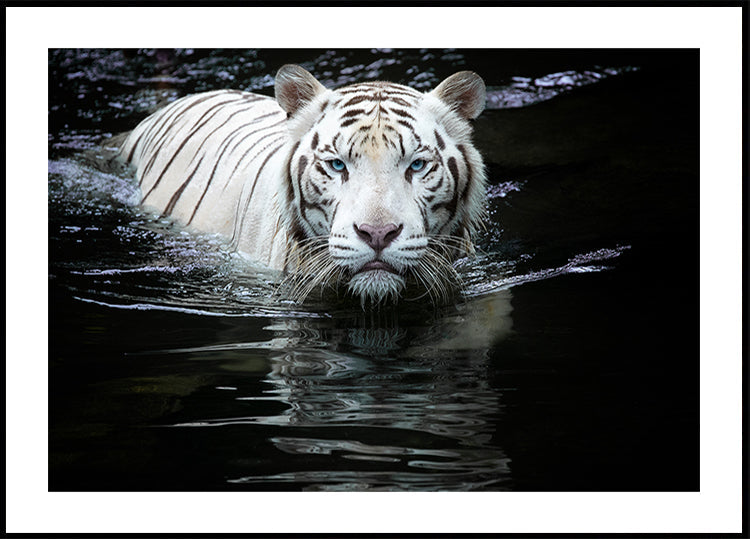 Schau mich an, schau dich an