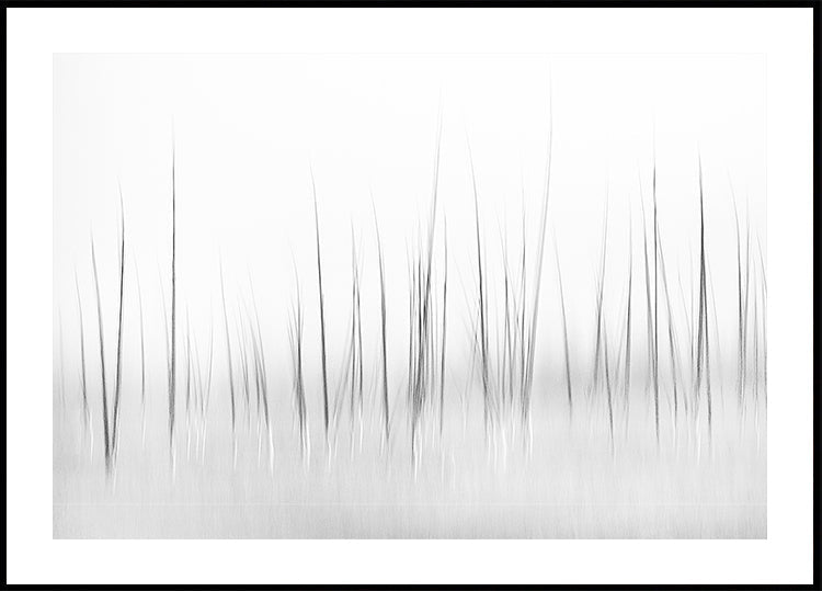 Winterliche Landschaft im Yellowstone