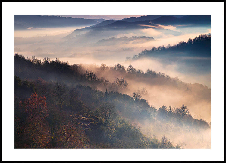 Diese magischen Momente