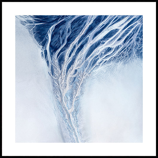 Natur-Abstrakte Poster