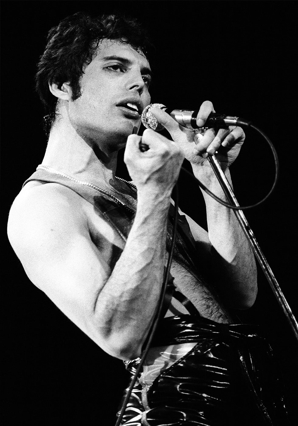 Freddie Mercury Hand Poster - Posterbox.dk