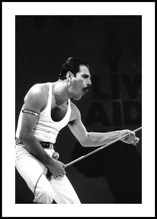 Freddie Mercury auf der Bühne Poster - Posterbox.dk