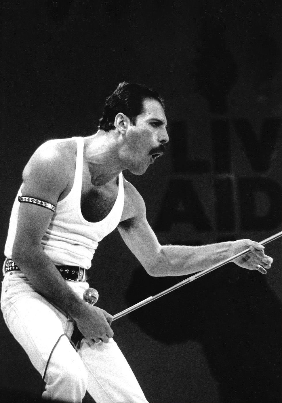 Freddie Mercury auf der Bühne Poster - Posterbox.dk