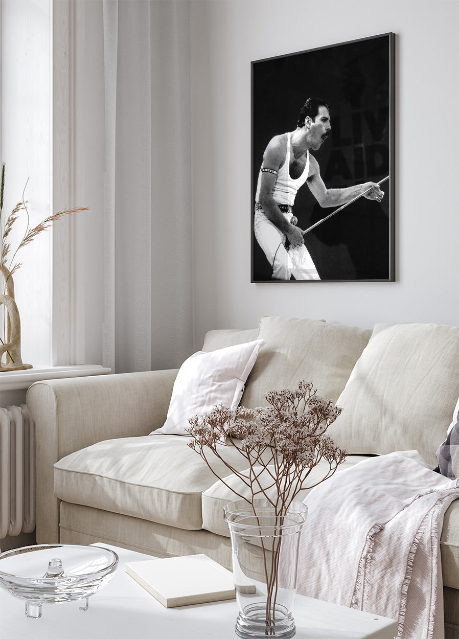 Freddie Mercury auf der Bühne Poster - Posterbox.dk