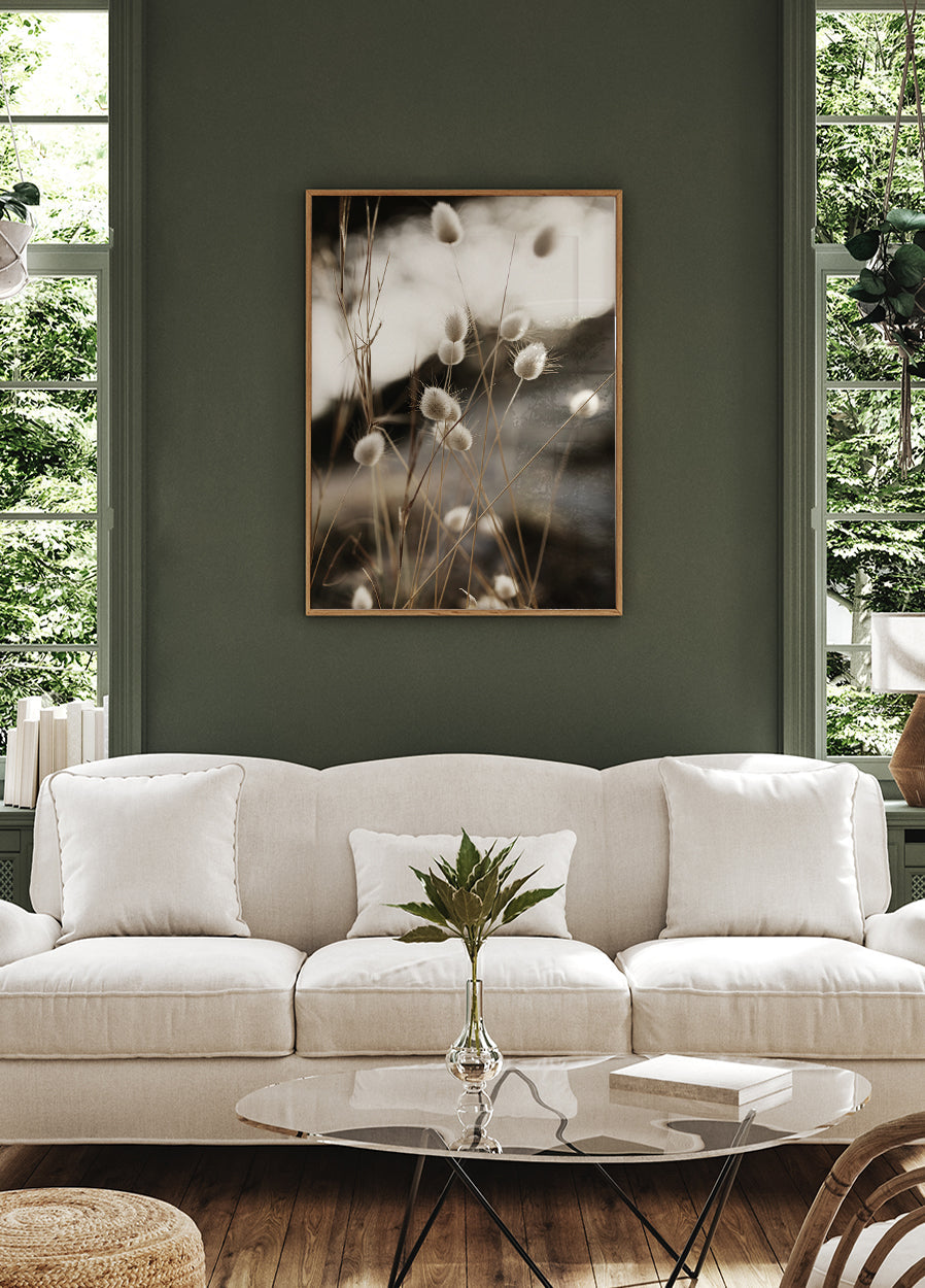 Gras im Sonnenlicht Poster - Posterbox.dk