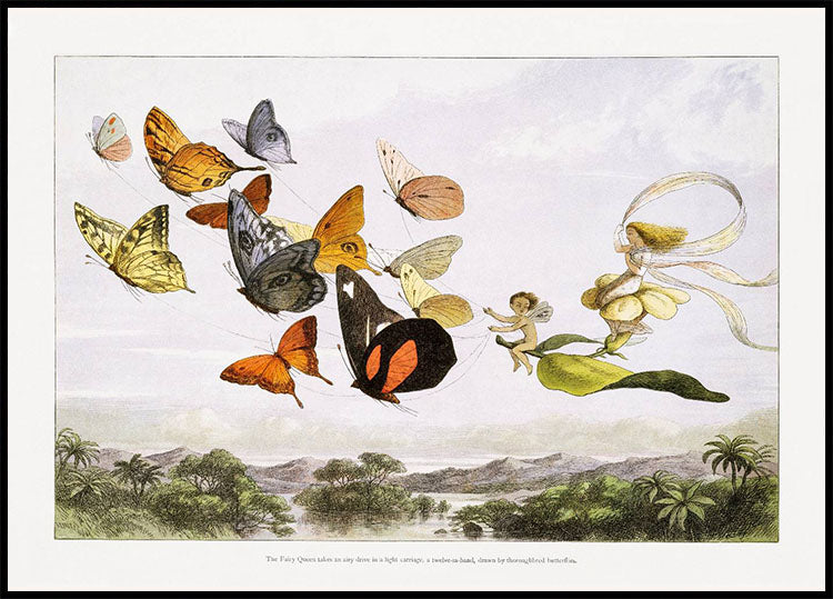 Im Märchenland Schmetterlinge von Richard Doyle Vintage-Kunstposter - Posterbox.no