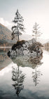 Ruhige Spiegelungen am Hintersee Poster - Posterbox.dk